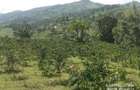 6.5 ac Land at Nandi Hills - 5