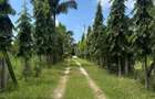 3 Bed House with En Suite at Mtwapa - 4