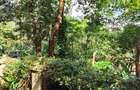 2 Bed House with Backup Generator at Kitisuru Road - 16
