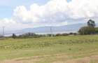 0.4 ac Land at Pana Ranch - 7