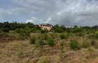Land in Kilifi - 7