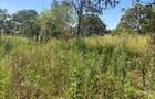 Land in Runda - 1