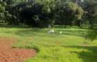 5 ac Land at Kabarnet Gardens - 1