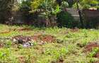 0.25 ac Residential Land at River Side Drive - 10