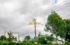 0.05 ha Residential Land at Jambu Tv - 4