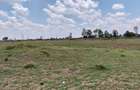 Commercial Land at Kalimoni - 3