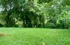 5 Bed House in Gigiri - 8