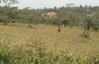 0.25 ac Residential Land in Ngong - 4