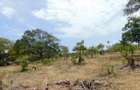 10,000 ft² Land in Vipingo - 4