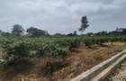 Land in Runda - 4