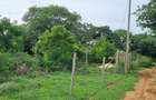 6 ac Land at Kilifi - 14