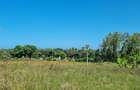 5 ac Land at Mtepeni - 12