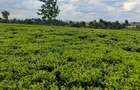 4.5 ac Land at Riara Ridge - 2