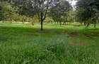 0.125 ac Land at Thika Grove Chania-Opposite Blue Post Hotel - 1