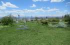 25 ac Land at Moi S Lake Rd - 3