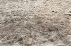 3 ac Land in Watamu - 3