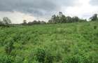 7.5 ac Land at Kikuyu Town - 6