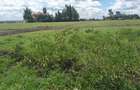 0.1 ha Residential Land in Ongata Rongai - 12