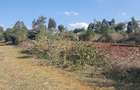 1.5 ac Residential Land at Kibiko - Ngong - 9