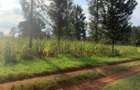 0.5 ac Land at Kiganjo Junction - 2