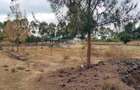 0.125 ac Land in Ongata Rongai - 4