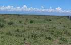 Land at Nanyuki - 5