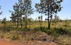 0.50 ac Commercial Property at Ruiru-Githunguri Road - 11