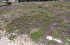 0.125 ac Land in Kiserian - 1