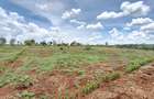 Residential Land at Runda Gardens - 4