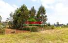 0.05 ha Residential Land in Kikuyu Town - 4
