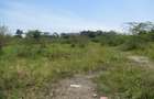 23,796 m² Commercial Land at Nyasa Road - 14