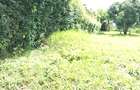 Commercial Land in Kinoo - 5