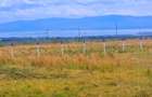 Land in Naivasha - 6