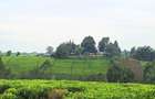 1 ac Residential Land at Riara Ridge - 7