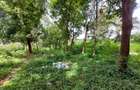 Residential Land at Runda Grove - 7