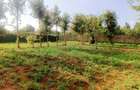 500 m² Residential Land at Nairobi Ndogo Estate - 12