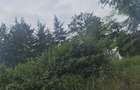 Land in Kiambu Road - 3