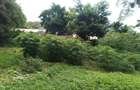 1 ac Land at Old Muthaiga Estate - 3