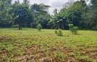 0.5 ac Land in Runda - 4