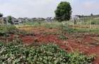 Residential Land at Zaria Village - 3
