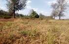 20 ac Land at Kentmare - 1