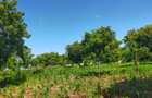 Land in Kilifi County - 3