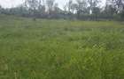 0.113 ac Residential Land in Ongata Rongai - 1