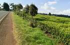67 ac Land at Ndumberi-Ngorongo Road - 5
