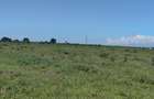 Land at Nanyuki - 11