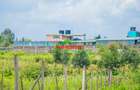 0.05 ha Residential Land at Ng'Amba - 1