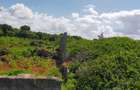 Land in Kilifi County - 15