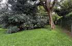 0.75 ac Land at Kaputei Gardens - 1