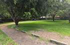 Commercial Property with Backup Generator in Lavington - 10