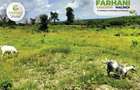 1 ac Land in Malindi - 3